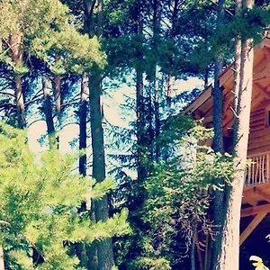 https://les-cabanes-des-pins-sylvestres.fr-provencehotel.com